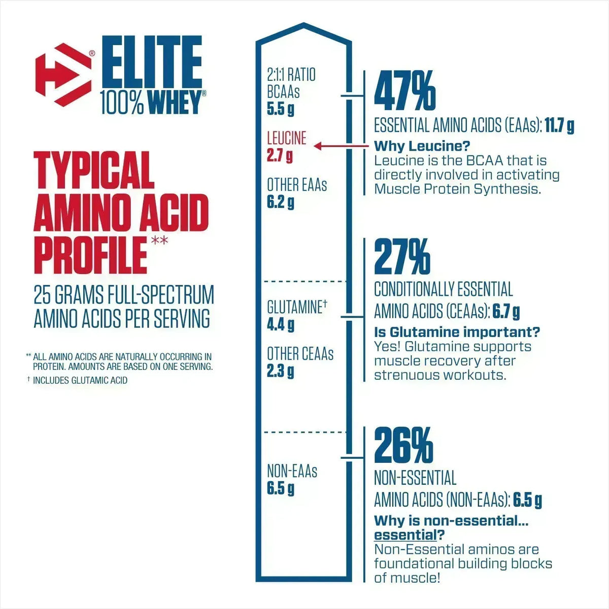 Elite Whey Chocolate 2lb (907g) - Proteína de Suero de Leche