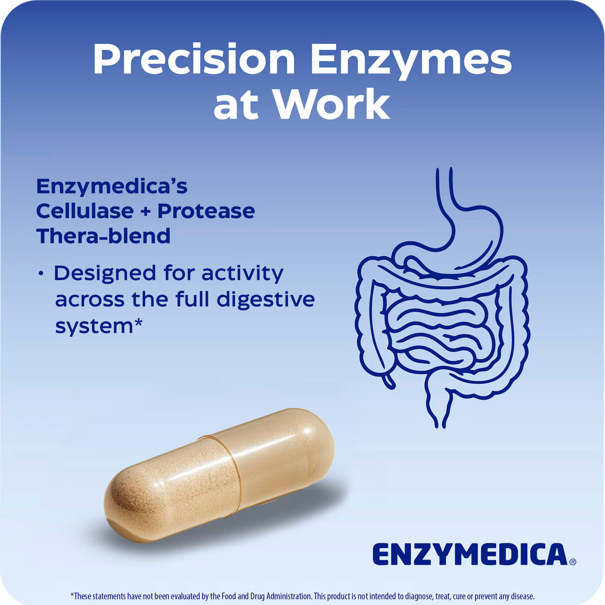 Enzymedica Candidase® | Apoyo al Equilibrio Intestinal, 42 cápsulas