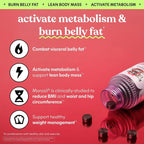 Lemme Burn con Morosil, Vitamina B6 y Jengibre Negro – 60 gomitas